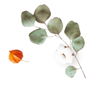 https://www.steinke-fotografie.de/wp-content/uploads/2020/10/floating_image_07.png
