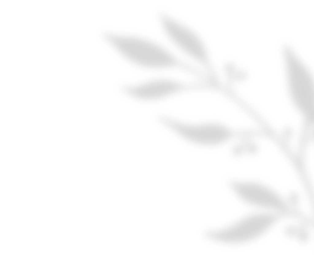 https://www.steinke-fotografie.de/wp-content/uploads/2020/11/shadow_leaves_01-3.png