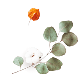 https://www.steinke-fotografie.de/wp-content/uploads/2020/12/floating_image_flower_02.png