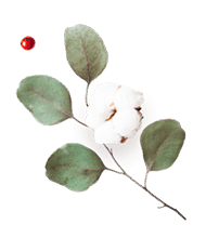 https://www.steinke-fotografie.de/wp-content/uploads/2020/12/floating_image_flower_03.png