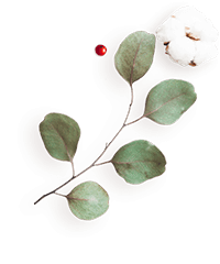 https://www.steinke-fotografie.de/wp-content/uploads/2020/12/floating_image_flower_04.png