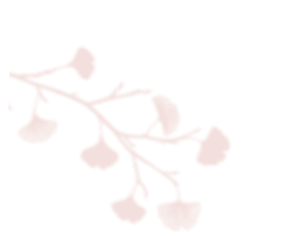 https://www.steinke-fotografie.de/wp-content/uploads/2020/12/shadow_leaves_06.png