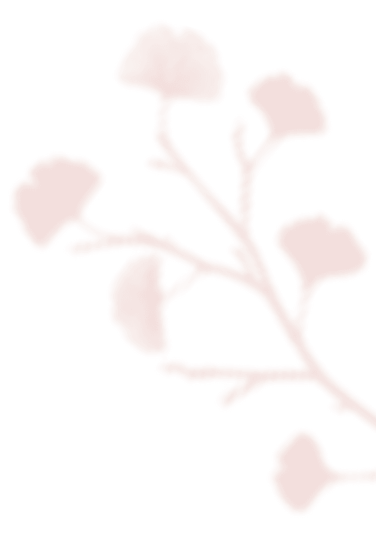 https://www.steinke-fotografie.de/wp-content/uploads/2020/12/shadow_leaves_07.png