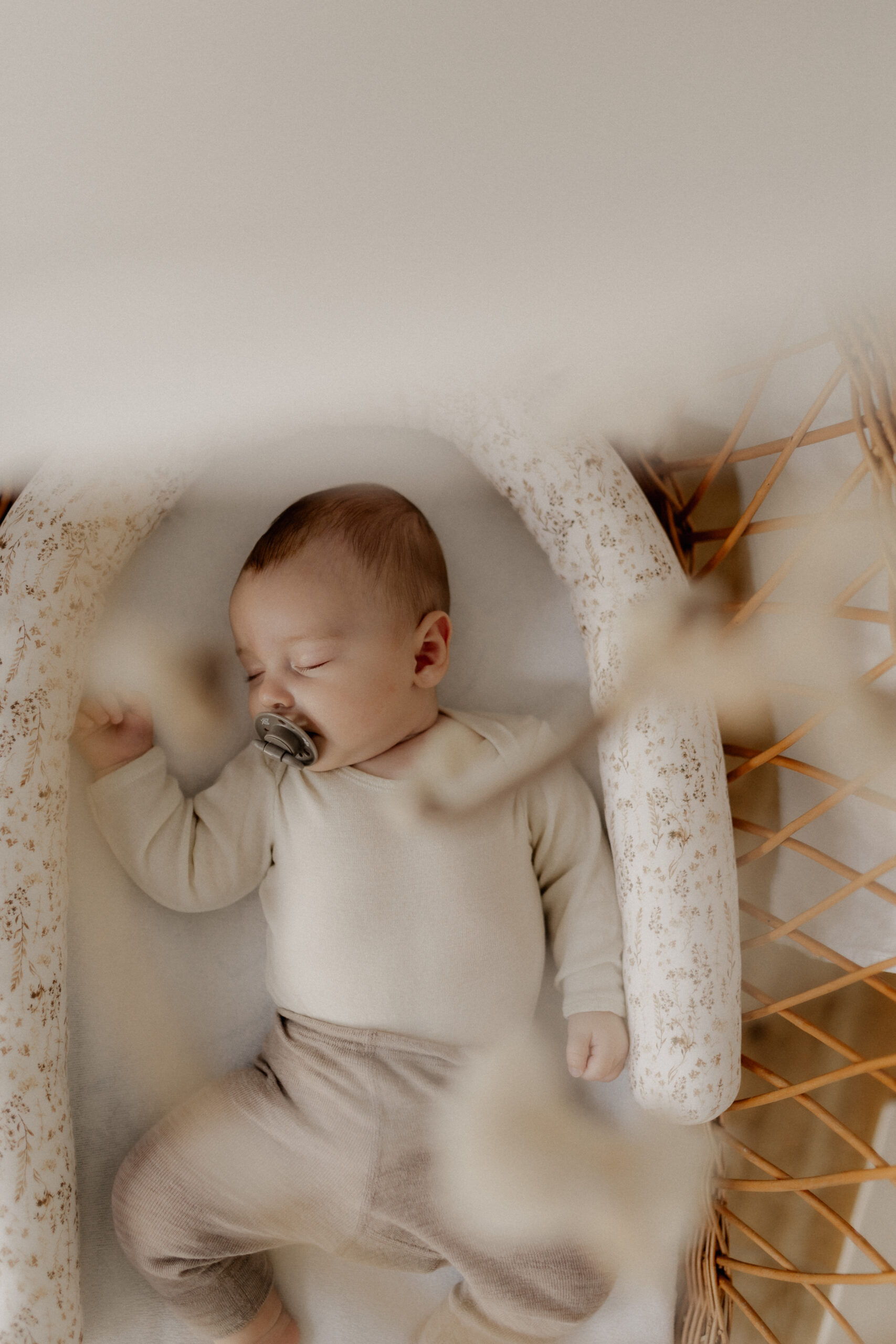 MS-6 https://www.steinke-fotografie.de/wp-content/uploads/2023/12/MS-6-scaled.jpg